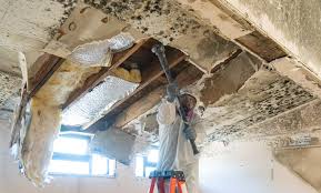 Best Asbestos and Lead Testing During Mold Inspection  in Sahuarita, AZ